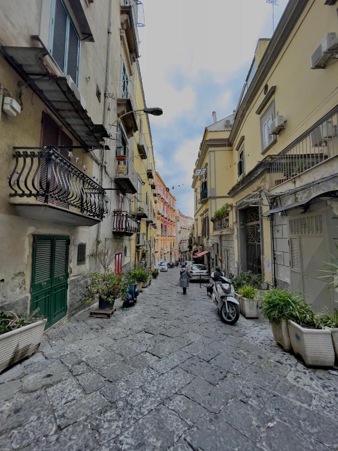 Apartment N51